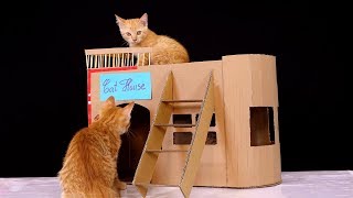 How to build cat house from cardboard - DIY house for cat