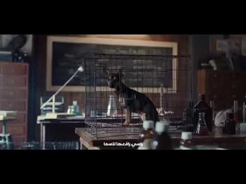 بتشمى فى الزمن محشى طاقه وعندى امل حالات واتس
