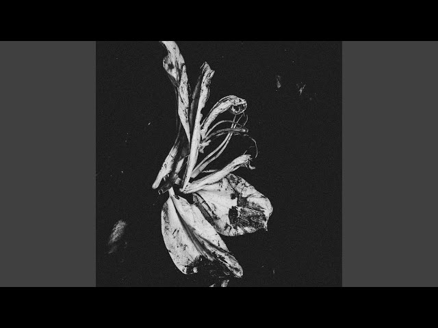 Verses Under Analemma (feat. Jørgen Munkeby)