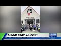 After 2 years, Lexington's Minnie finds a home