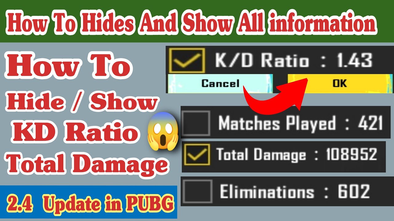 How To Hide KD Ratio In PUBG How To Show Damage And Other Information 