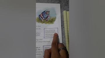 English class 6 the cherry tree question and answer