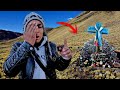 Este LUGAR cobró DECENAS de VIDAS | Cusco