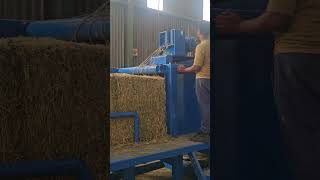 Bale processor: First test run #italiaengineering #bales #automation #hydraulics