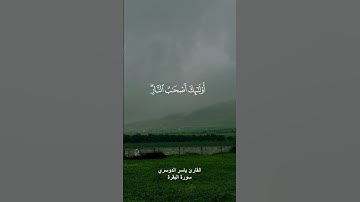 ﴿الله ولي الذين آمنوا﴾ القارئ #ياسر_الدوسري