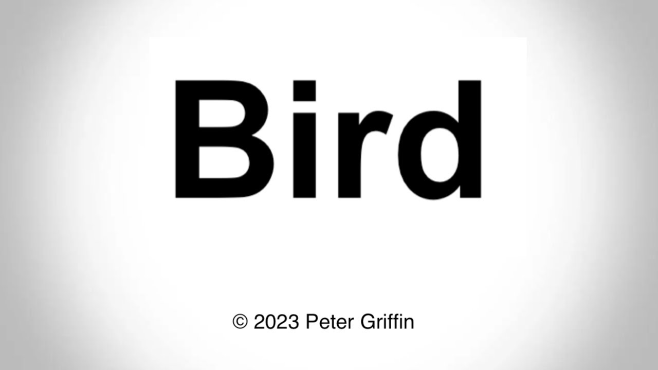 How To Pronounce Bird YouTube how-to-pronounce-bird-in-english-pronunciation-of-bird-and