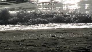 Les negresses vertes - Face à la mer