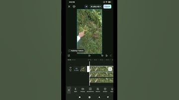 create this smooth color fill effect in capcut.#visualeffects#creative#video#tutorial#CapCutEdit
