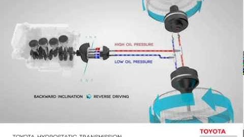 Hydrostatic Animation