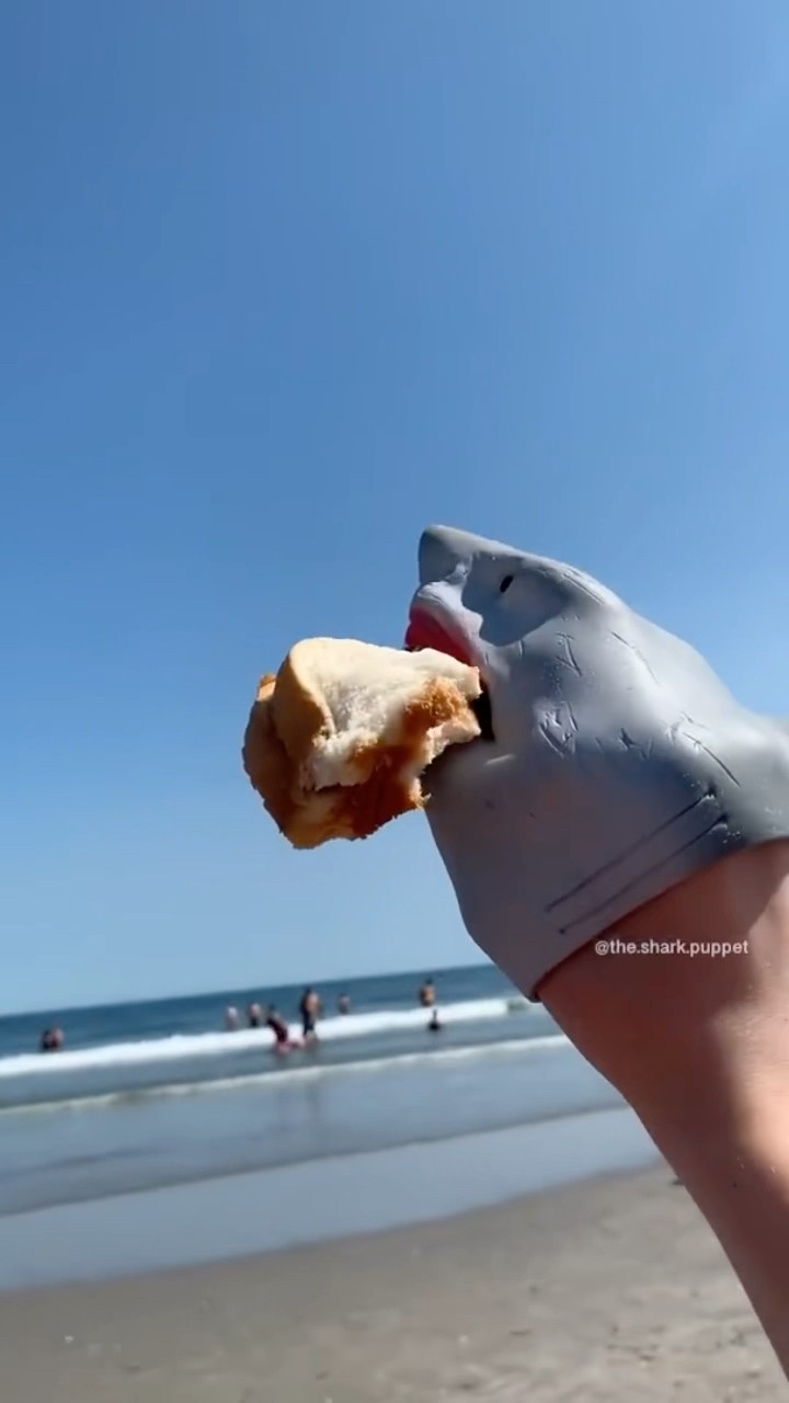 #JasonDeruloTV // Shark ?#GotPermissionToPost From @SharkPuppet #SlowLow