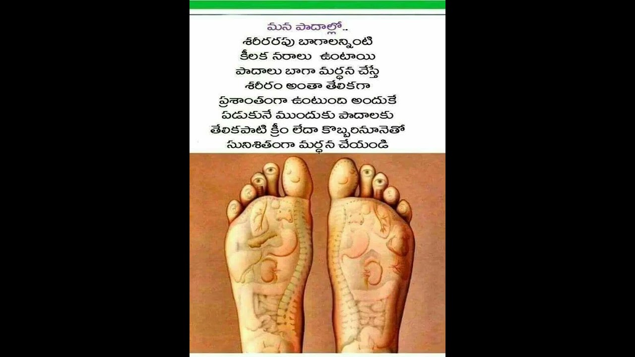 Health Tip 588 పాదాలలో కీలక నరాలు Feet soles 