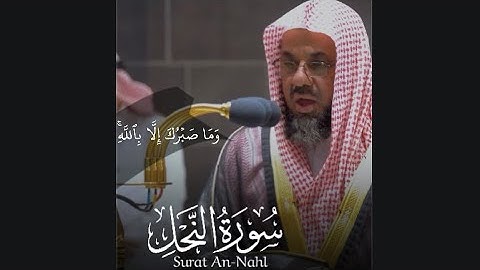 ﴿وَاصبِر وَما صَبرُكَ إِلّا بِاللَّهِ﴾ من سورة النحل للشيخ سعود الشريم 😢.