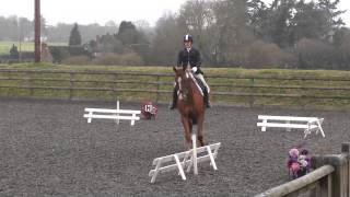 British Dressage Novice 24 - Natalie and Faust 16Feb15 69.2%