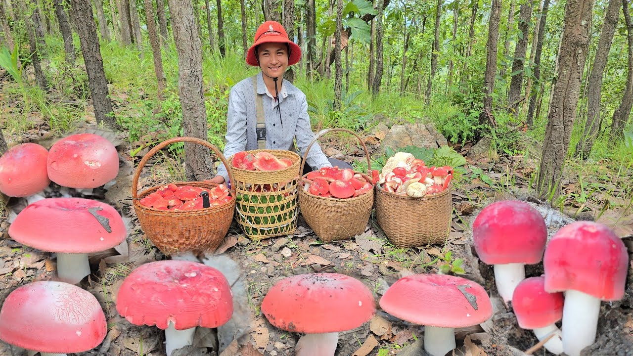 เบิ่ดคำสิเว้า!! งามหลายๆๆ2กะต่าเต็ม !!โพดโพ25ส.ค68หมานๆครับ