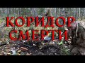 Безумство ВОЙНЫ. Забытые в 1942 (коридор смерти)