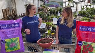NEW- Tomato & Vegetable Planting Soil