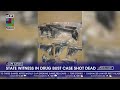 State witness in drug bust case shot dead