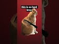 its so hardd