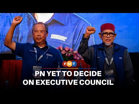 PN yet to decide on executive council, says report