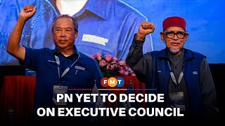 Pn Yet To Decide On Executive Council, Says Report