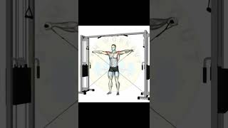 Gym Back & Shoulder Workout | Power & Definition
