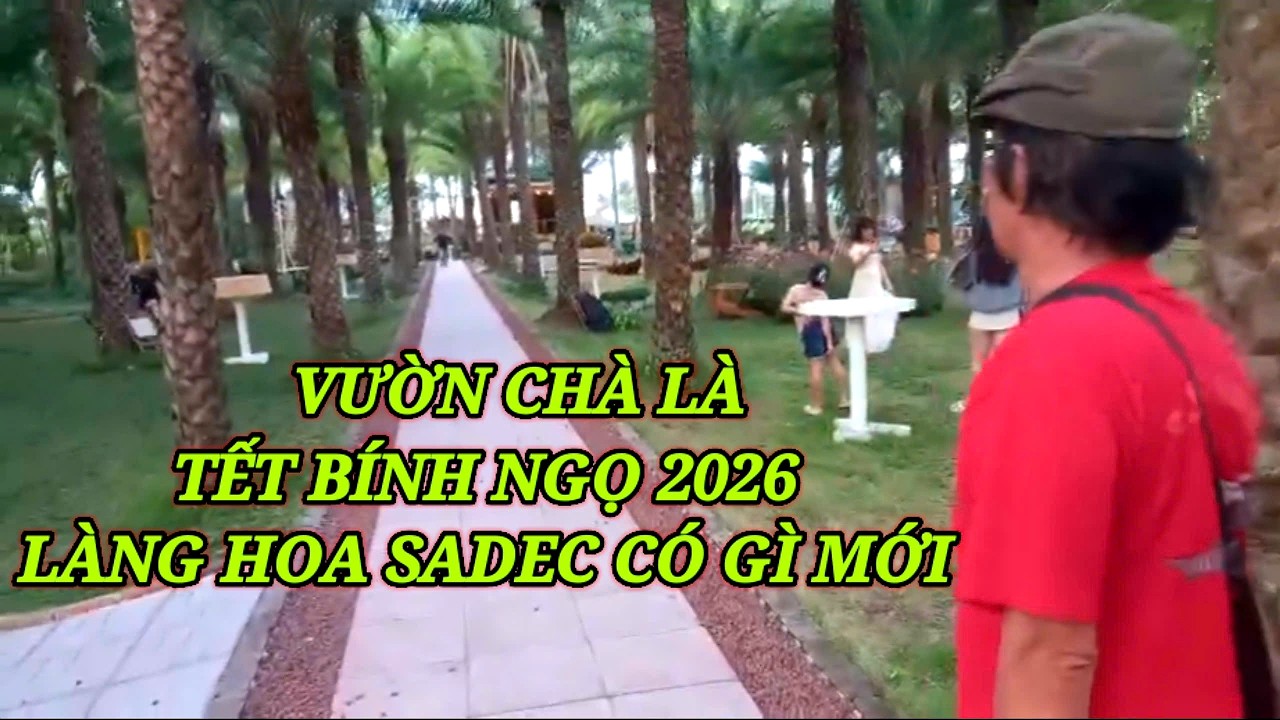 Vườn chà là Làng hoa sadec có gì mới tết bính ngọ xuân 2026