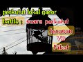 Perkutut Lokal Gacor Saut Sautan Suara Perkutut Terasan VS Perkutut pikat