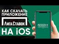 Как правильно пользоваться приложением лига ставок на телефоне 🌟 Ставки на спорт онлайн | Как правильно