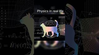 Physics in school 🤡 vs Physics in real life 🥶☠️