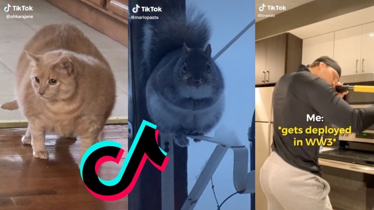 Damn boy he thicc. Damn boii she thiccc watch now. Дамн мем. Damn boii she thiccc watch now. Дамн мем.