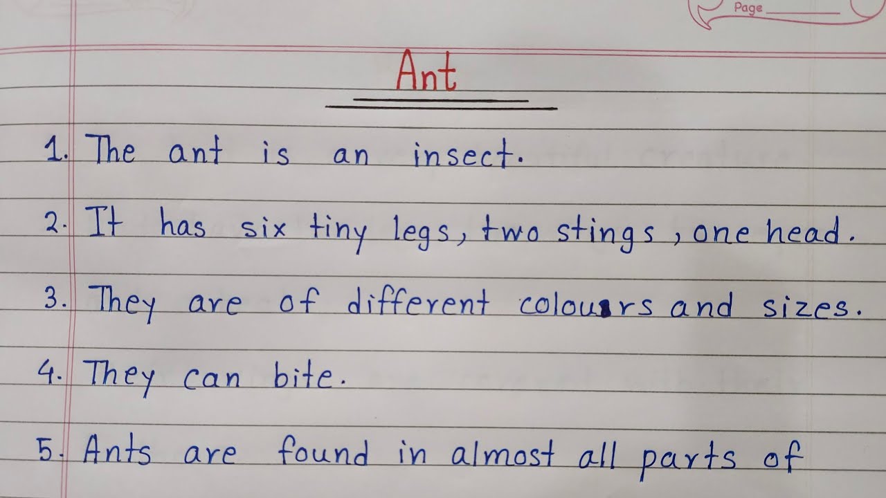 essay on ant for class 1