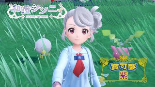 【#寶可夢紫 】能收集全神獸嗎? |初見、聊天歡迎💜! ◈和澄シン二ィ