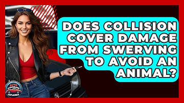 Does Collision Cover Damage From Swerving To Avoid An Animal? - Auto Coverage Explained