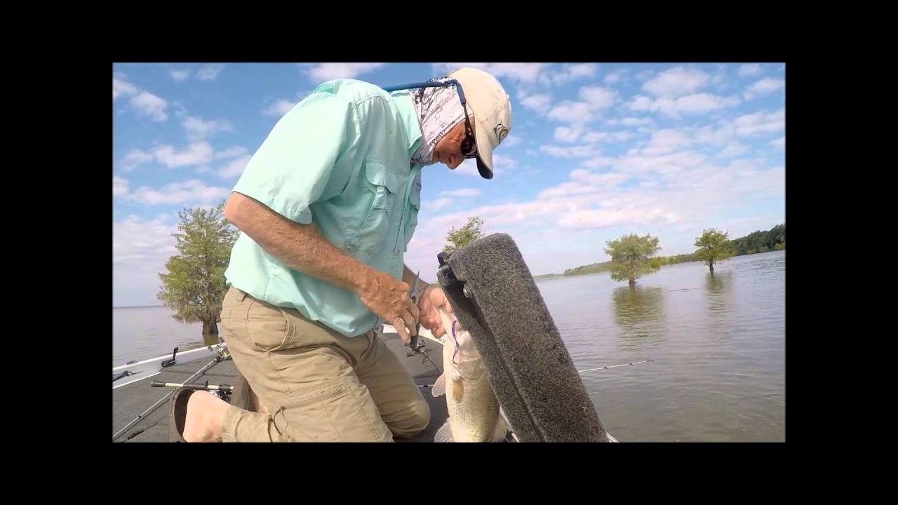 Lake Marion Bass Fishing YouTube