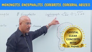 Difference Between Meningitis | Encephalitis | Cerebritis | Cerebral Abscess🩺