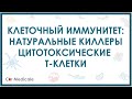 Натуральные киллеры и цитотоксические Т-клетки - клеточный иммунитет