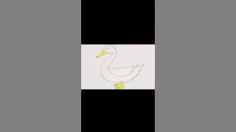 Draw a swan for kids #drawing #art #easydrawing #howtodraw #swan #viral #viralshorts #duck