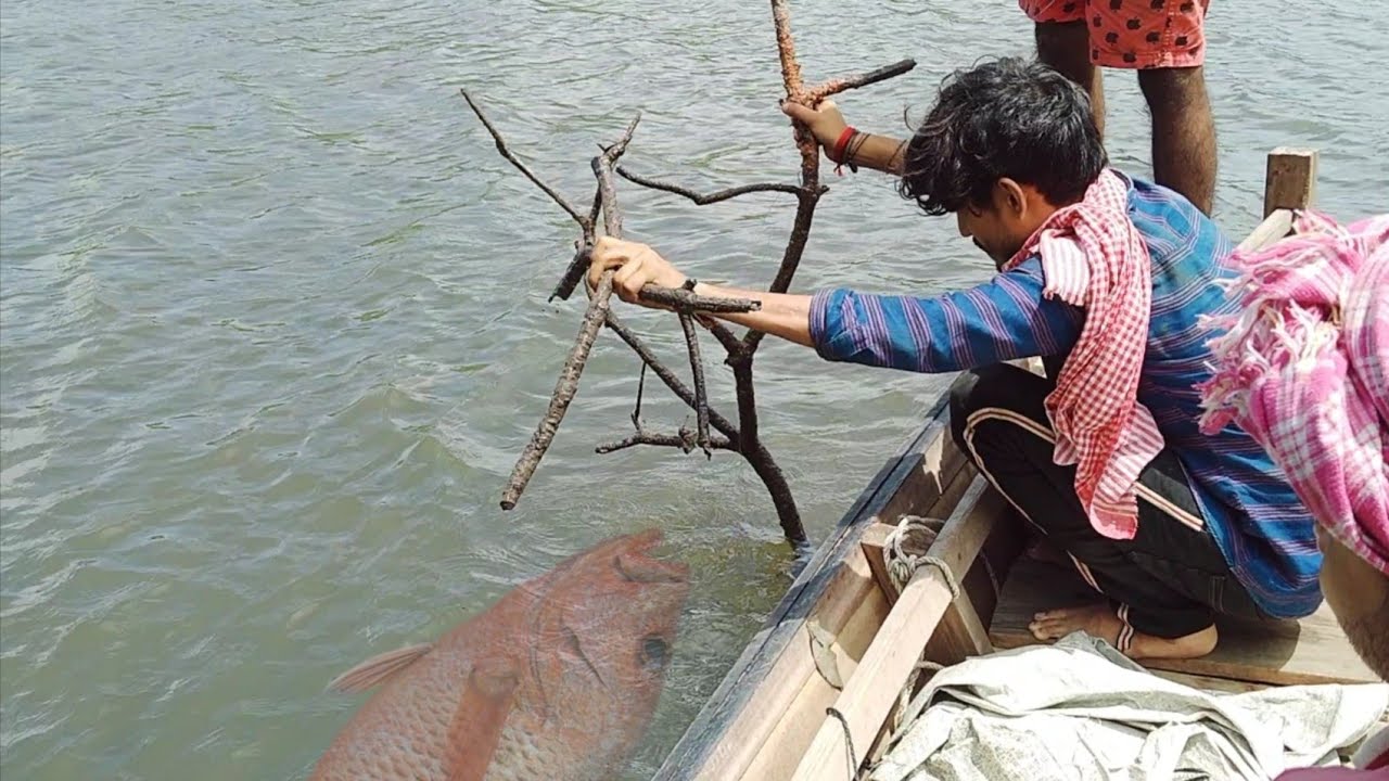 Aaj Mangrove Jack or CatFish Pakadke Bada Mazaa Aaya ! Ajke LallBhetki ar KanMagur Dhore Moja Ashlo
