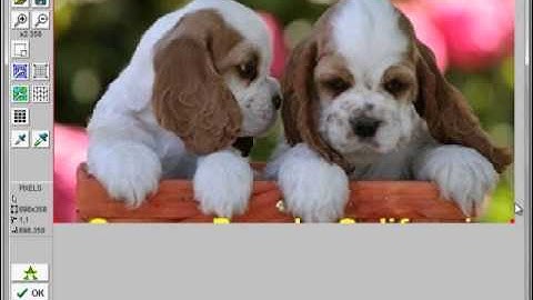 DesignaKnit 8 Tutorial - Convert A Photo Into A Stitch Pattern