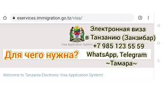 Зачем нужна электронная виза на Занзибар в 2024 году: прохождение границы в аэропорту Занзибара