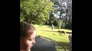 trampoline fun 2