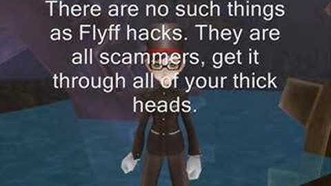 Flyff hack