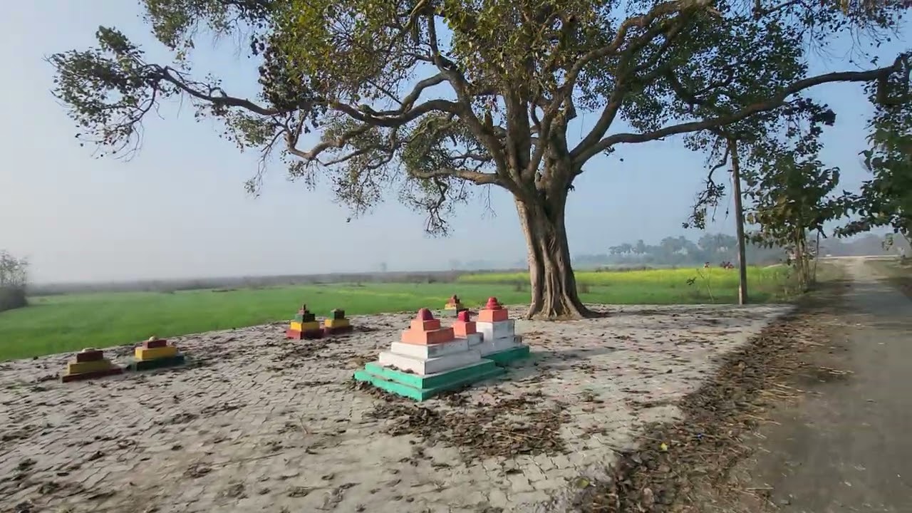 Nandpur chhath ghat ka ped aur purani yadein 