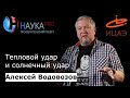 Тепловой удар и солнечный удар – врач Алексей Водовозов | Научпоп