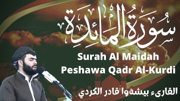 سورة المائدة كاملة بيشةوا قادر الكردي Surat Al-Ma'idah, full, by Peshawa Qadr Al Kurdi