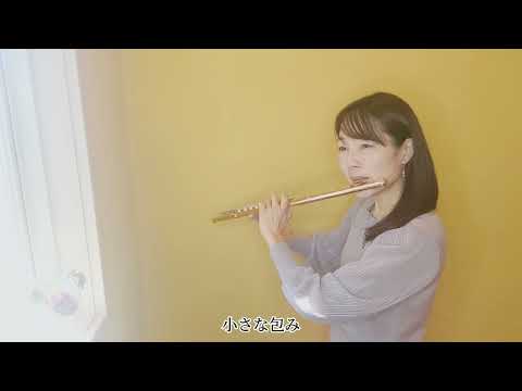 【フルート】【flute】北国の春/千昌夫#吹いてみた