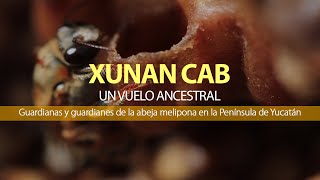Xunan Cab 'Un vuelo ancestral'