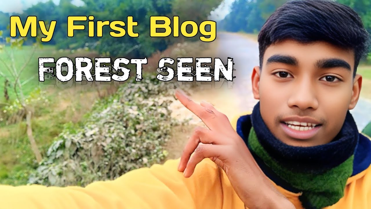 " My First Blogs || 😱 Forest a Seen । Natural View🌲 