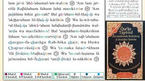 ختمة من مصحف التجويد باللغة الألمانية الصفحة رقم 346