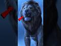 Scarface is real king!!😱🦁 #viralvideo #facts #shortsfeed